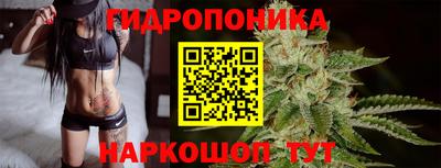 прущие грибы Моздок