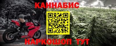 прущие грибы Моздок