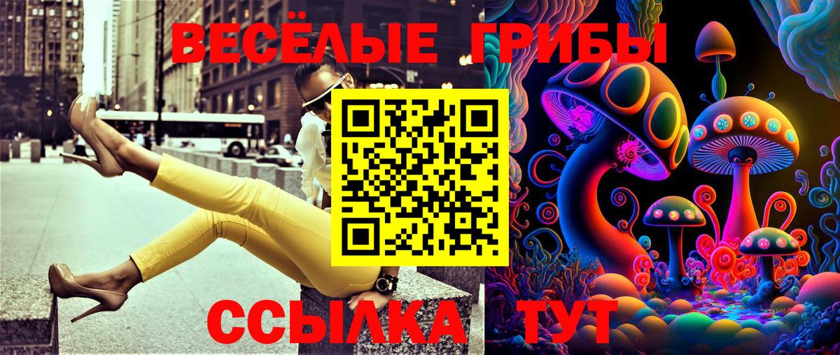 Псилоцибиновые грибы Cubensis  Вход с VPN  Фрязино  Галлюциногенные грибы Cubensis 